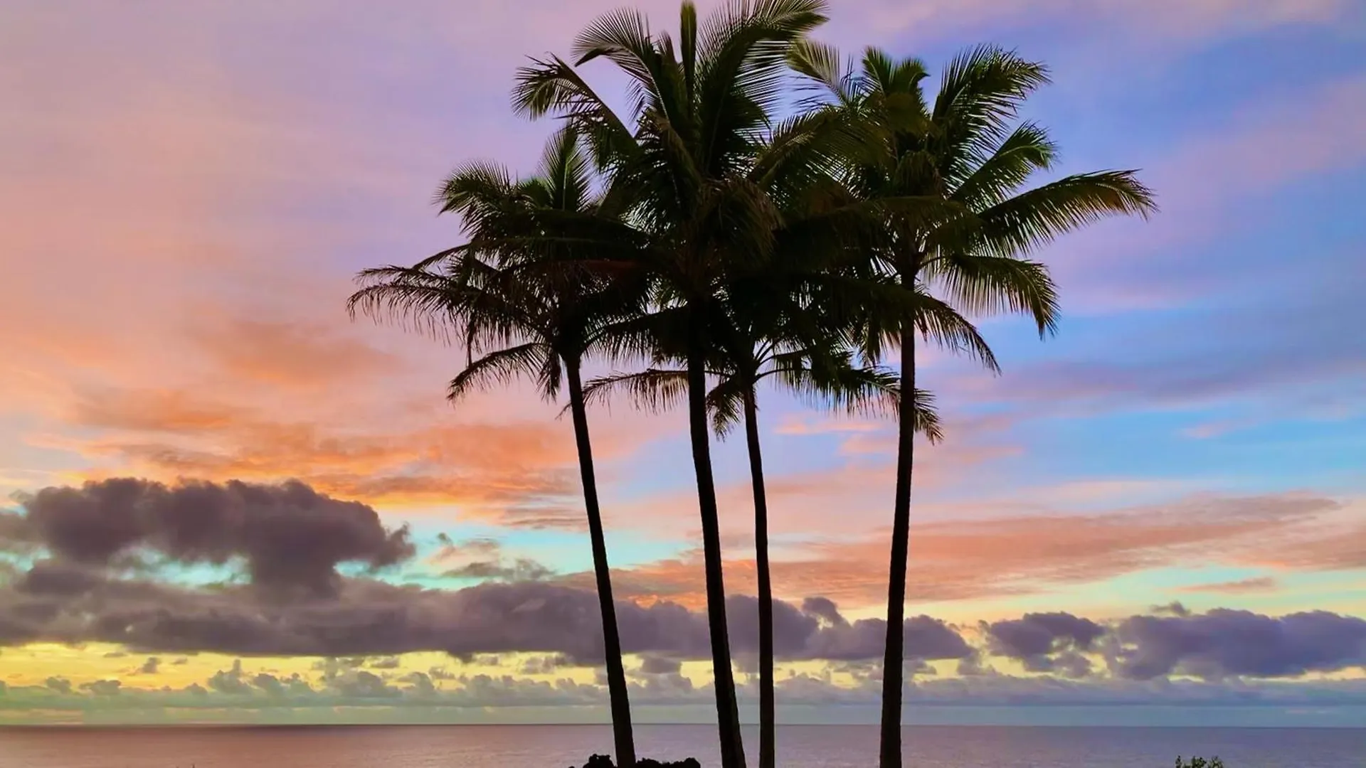 Tropical Zen Bungalow Pahoa 0*,